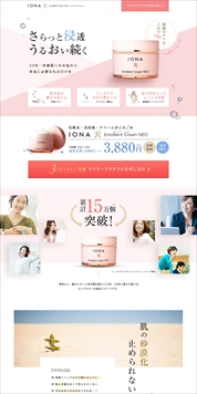 リスティング広告運用代行 ランディングページ Lp 制作 東京 大阪 株式会社イーナ